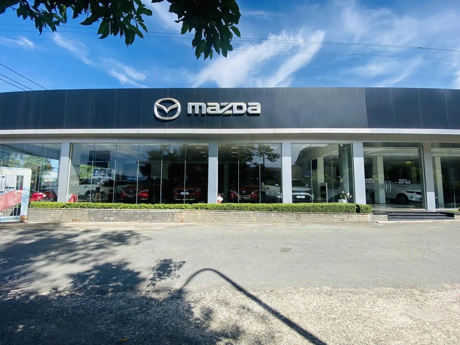 Mazda Tây Ninh